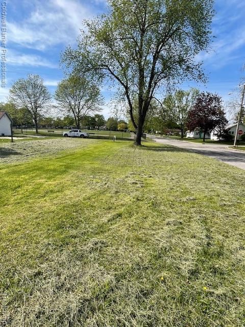 215 Raven St, Lapeer, MI 48446 - photo 1