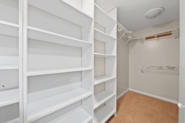 walk in closet featuring light carpet