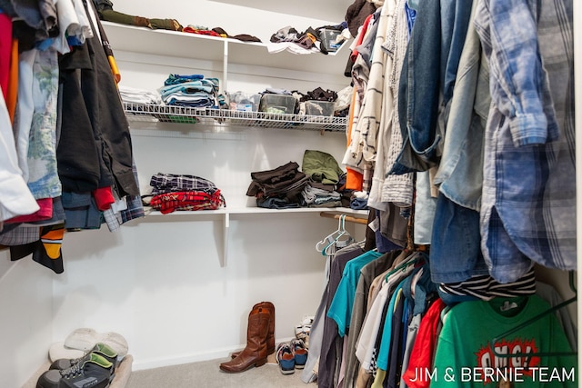 spacious closet featuring carpet floors