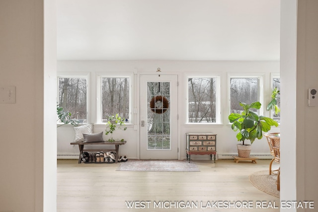 doorway to outside with hardwood / wood-style flooring and a wealth of natural light