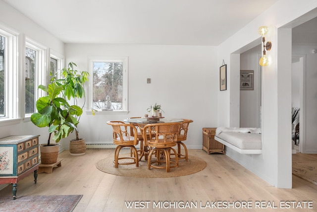 dining room with light hardwood / wood-style floors