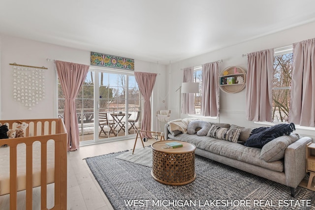 living room featuring hardwood / wood-style flooring