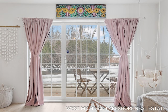 entryway featuring hardwood / wood-style floors