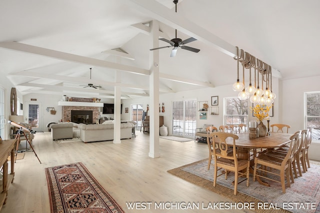 dining space featuring lofted ceiling with beams, ceiling fan with notable chandelier, and light wood-type flooring