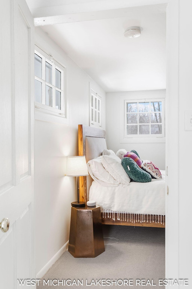 bedroom with carpet floors