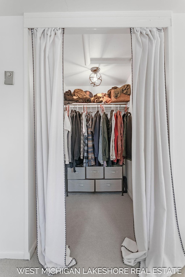 view of closet