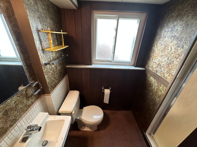 bathroom with sink, a healthy amount of sunlight, toilet, and a shower with door