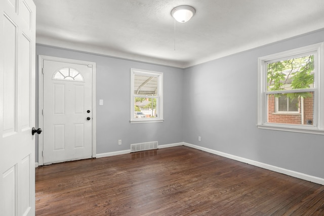 entrance foyer with dark wood-type flooring