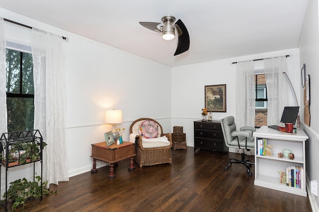 office featuring ceiling fan, crown molding, and dark hardwood / wood-style flooring