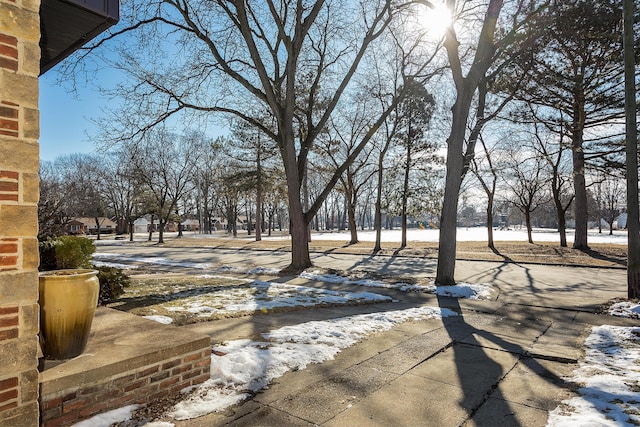 view of snowy yard