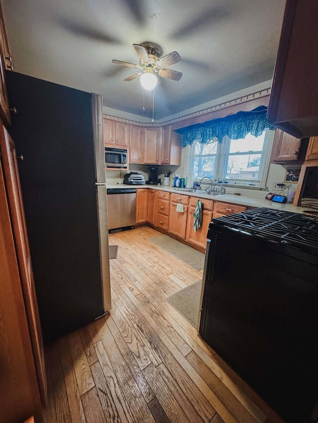 kitchen featuring ceiling fan, stainless steel appliances, sink, and light hardwood / wood-style flooring