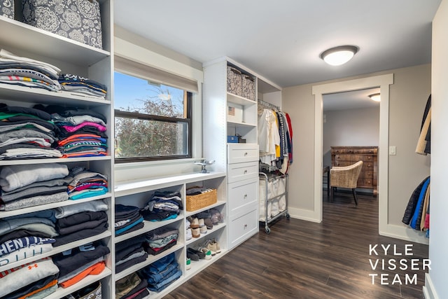 walk in closet featuring dark hardwood / wood-style floors