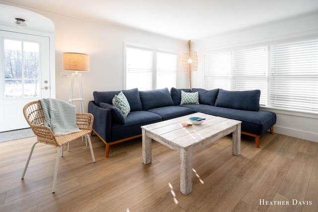 living room featuring plenty of natural light and light wood-type flooring