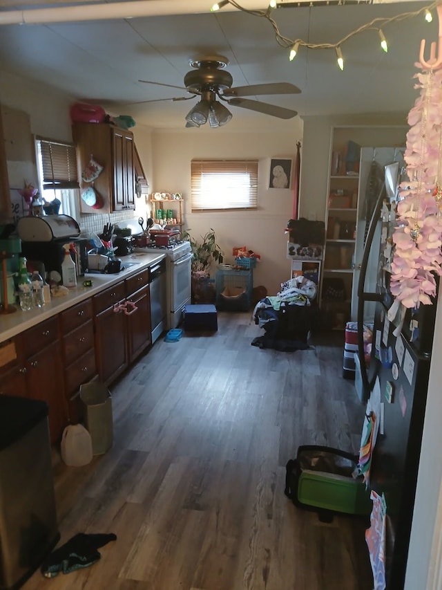 kitchen with sink, dark hardwood / wood-style floors, stainless steel dishwasher, and ceiling fan