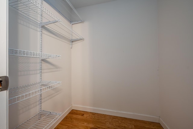 spacious closet featuring wood-type flooring