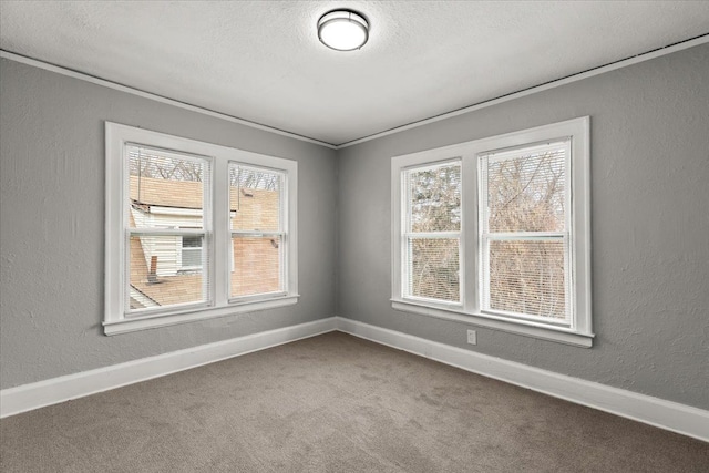 empty room with carpet and a textured ceiling