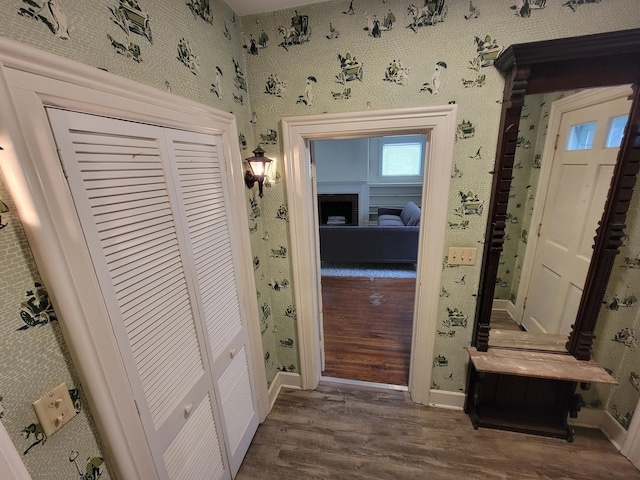 corridor featuring dark hardwood / wood-style flooring