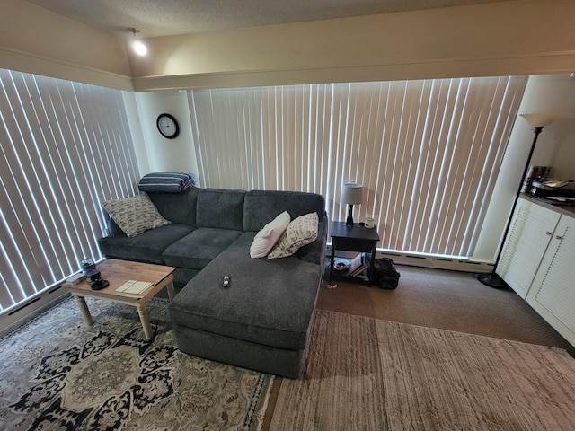 carpeted living room with a textured ceiling and baseboard heating