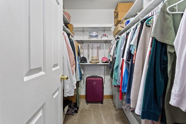 walk in closet with light colored carpet