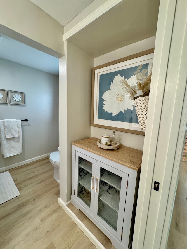 bathroom with hardwood / wood-style flooring