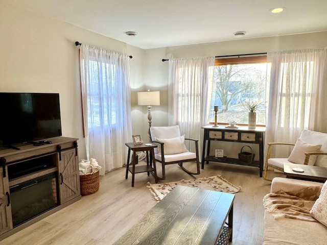 living area featuring light hardwood / wood-style floors and a wealth of natural light