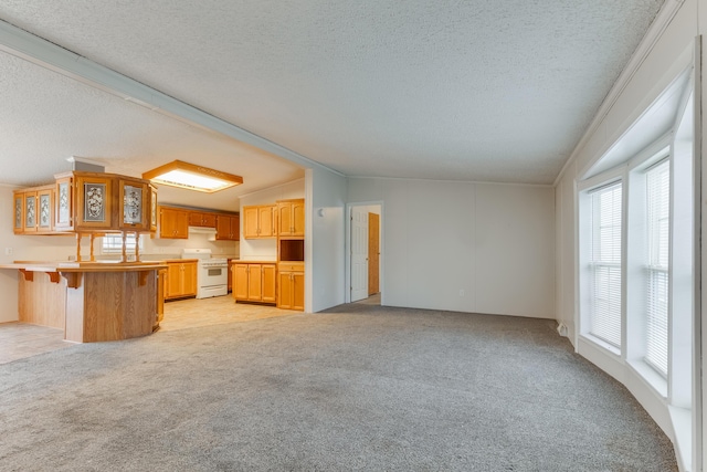 unfurnished living room featuring vaulted ceiling, light carpet, and a textured ceiling