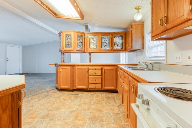 kitchen with sink, light colored carpet, a textured ceiling, and white range with electric cooktop