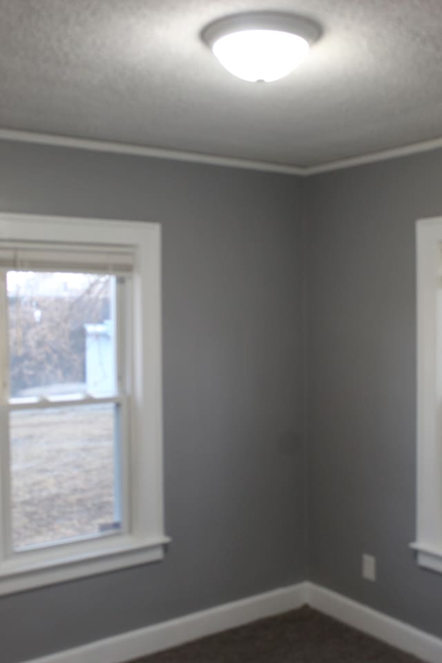 spare room featuring ornamental molding