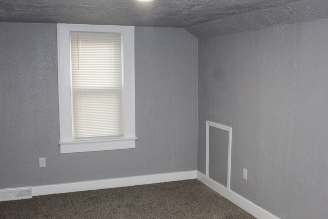 additional living space with vaulted ceiling, carpet, and a textured ceiling