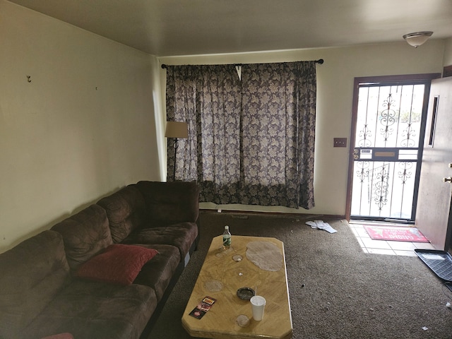 living room with carpet floors