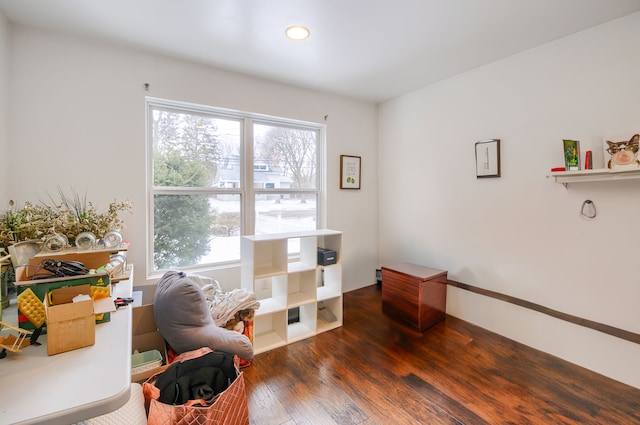 living area with plenty of natural light and dark hardwood / wood-style floors