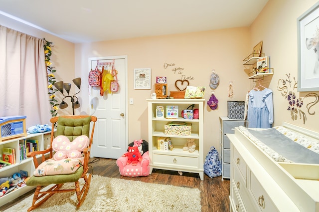 playroom featuring dark wood-type flooring