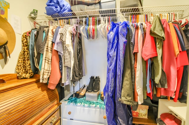 view of spacious closet