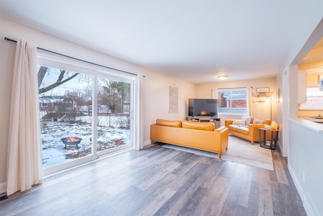 living room featuring hardwood / wood-style flooring