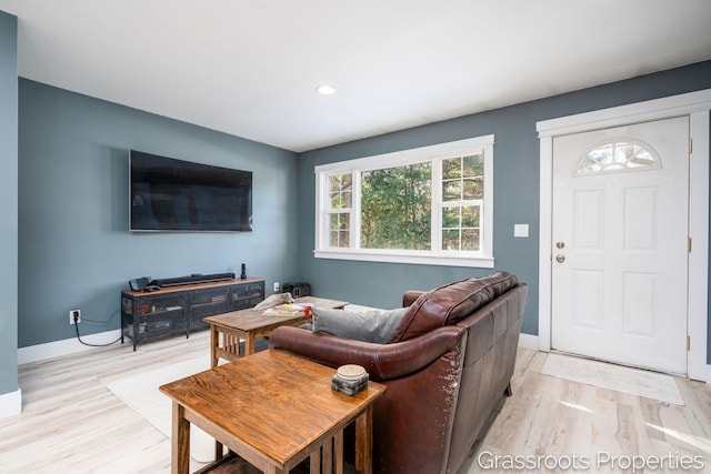 living room with light wood-type flooring