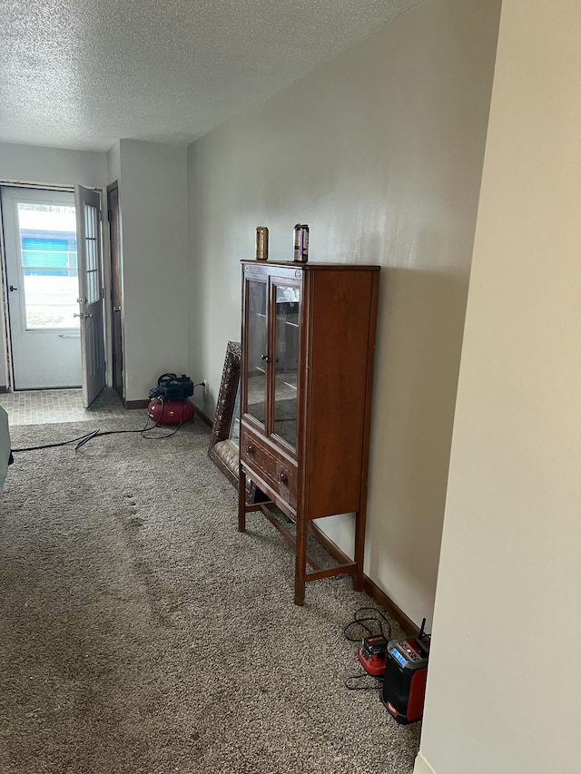 miscellaneous room featuring carpet flooring and a textured ceiling