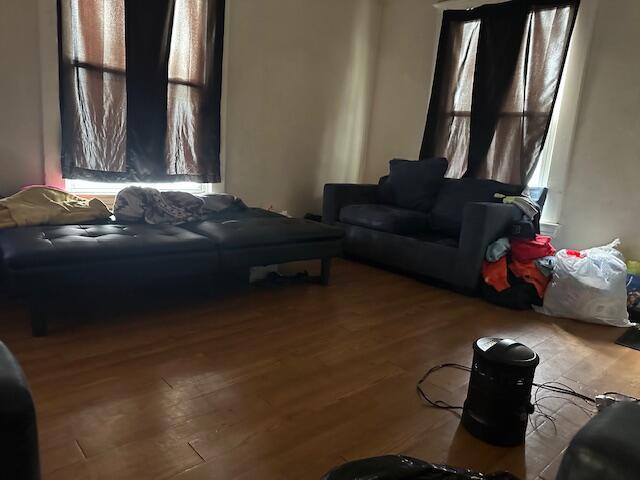 living room with wood-type flooring