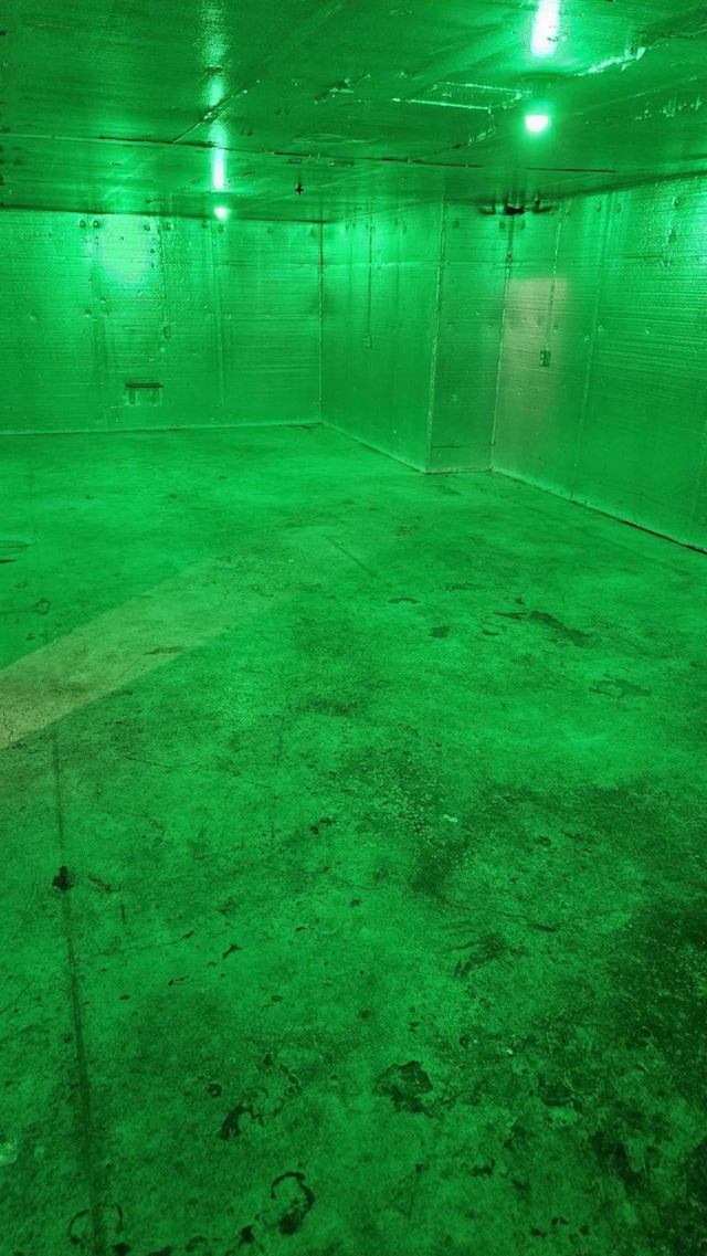 basement with carpet