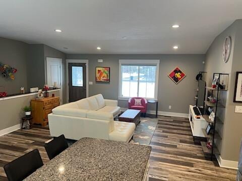 living room with dark hardwood / wood-style flooring