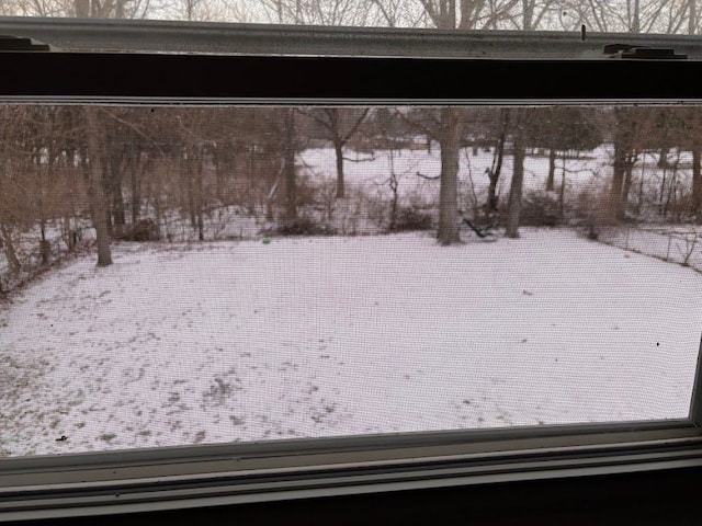 view of snowy yard