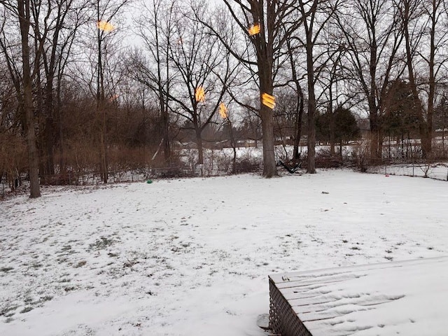 view of yard layered in snow