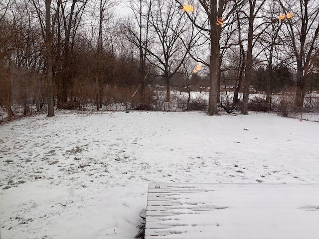 view of snowy yard