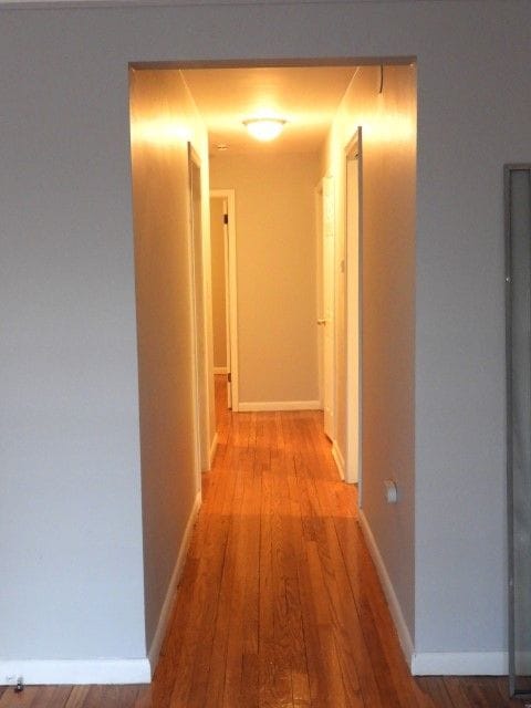 hall featuring wood-type flooring