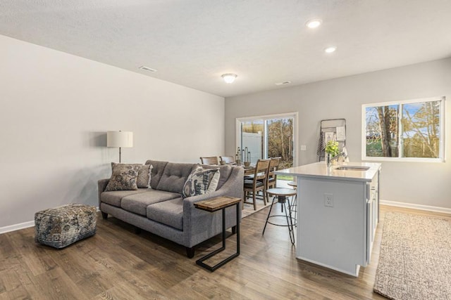 living room with dark hardwood / wood-style floors and sink