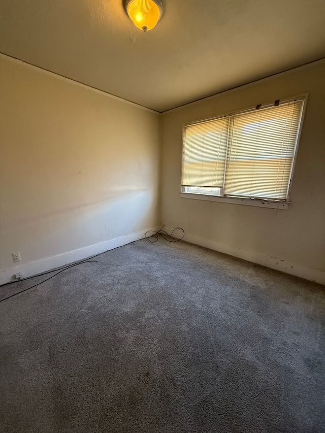 unfurnished room featuring carpet