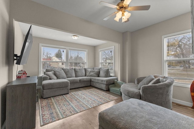 living room featuring ceiling fan and light hardwood / wood-style flooring