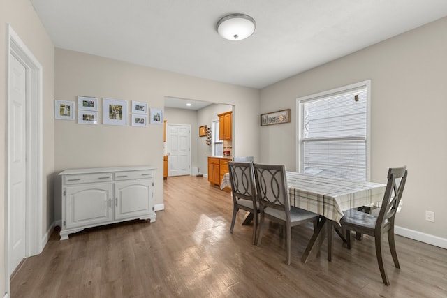 dining room with light hardwood / wood-style floors