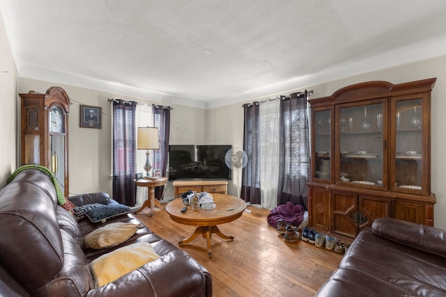 living room with hardwood / wood-style flooring and a textured ceiling