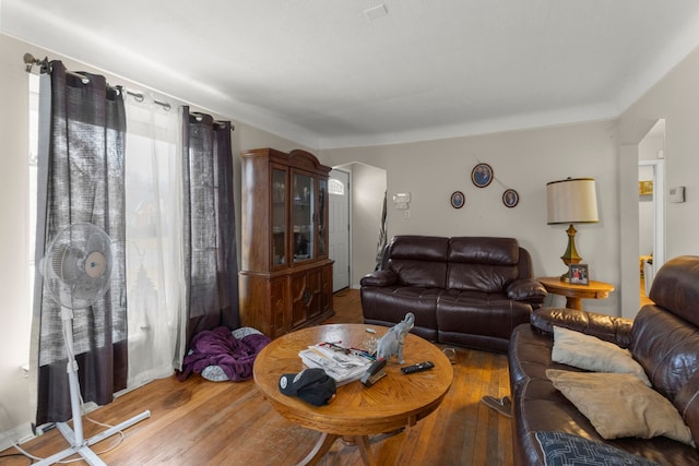 living room with wood-type flooring