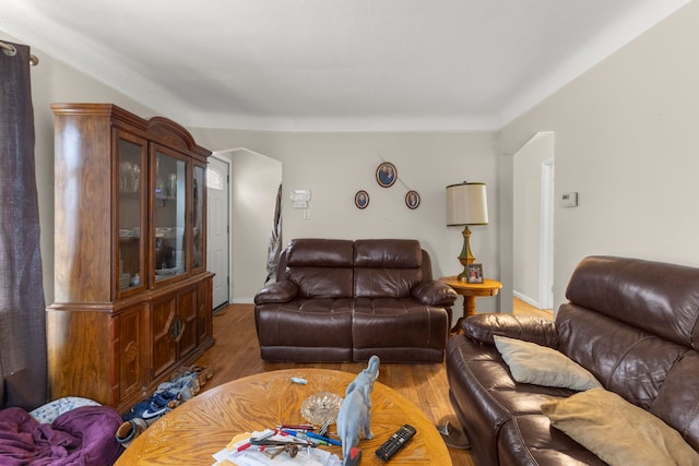 living room featuring hardwood / wood-style floors